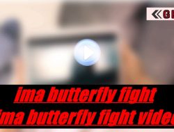 ima butterfly fight ima butterfly fight video