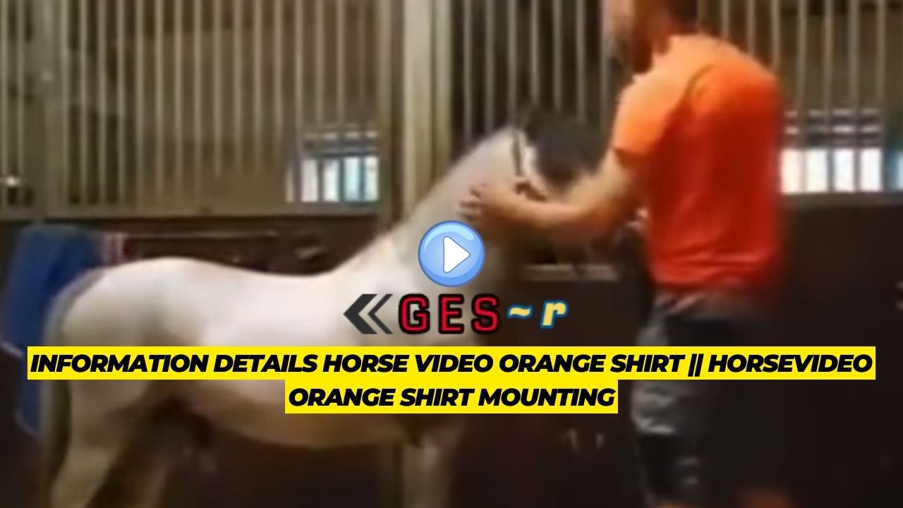 orange shirt horse video || horse video orange shirt guy big_poundsz twitter