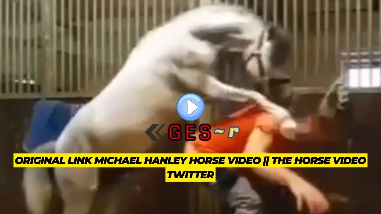 orange shirt horse video || horse video orange shirt guy big_poundsz twitter